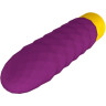 Минивибратор WOMANIZER Romp Beat RPBBSG4